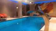 Nowoczesny Basen  Solankowy wraz z Jacuzzi