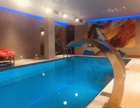 Nowoczesny Basen  Solankowy wraz z Jacuzzi